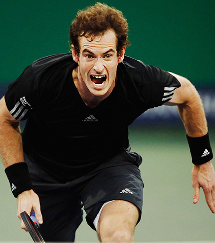 Маррей Энди