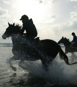 Чекколи Мауро 