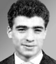 Тёрёк Дьюла