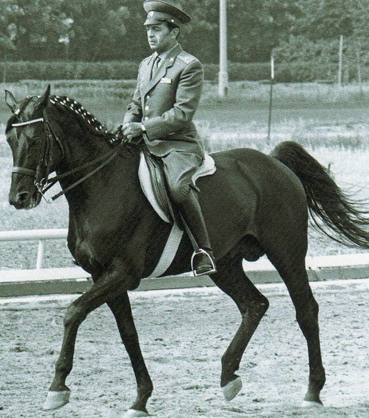 Калита Иван