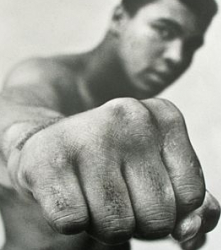 Террелл Эрни