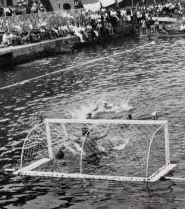 Стипанич Карло